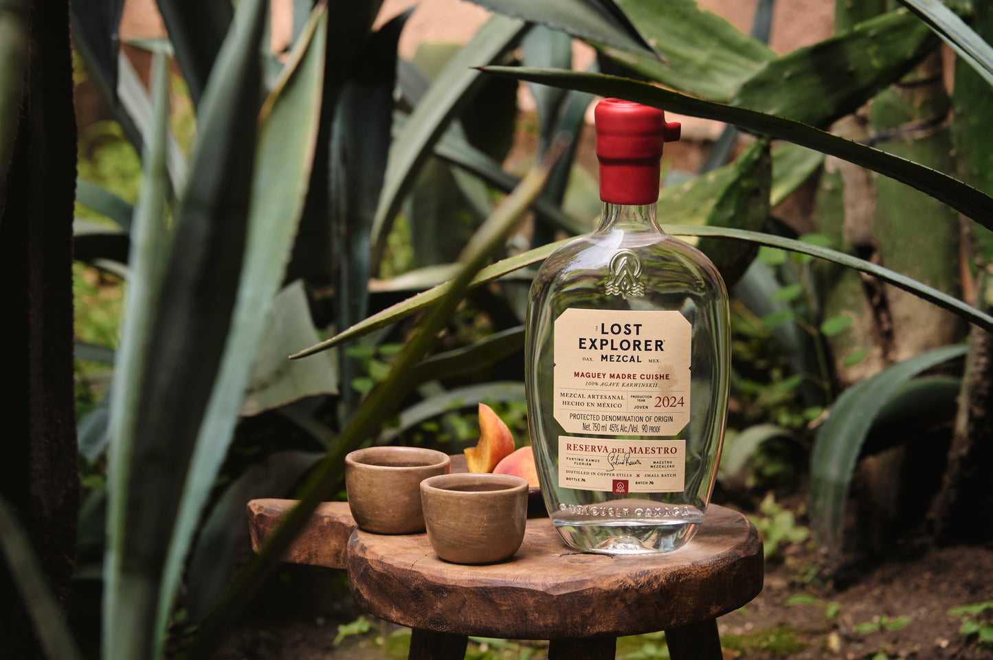 Reserva del Maestro Madre Cuishe