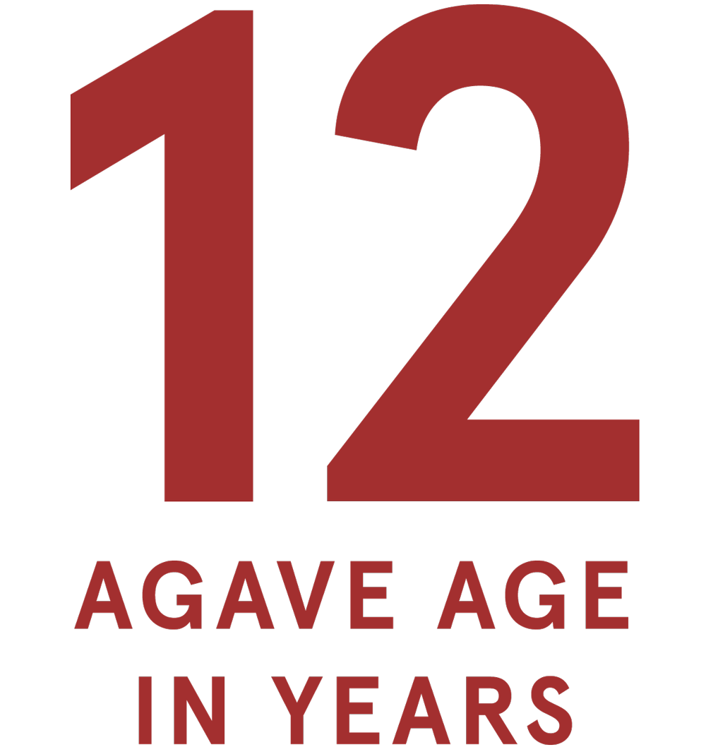 12 Years (Agave Age)