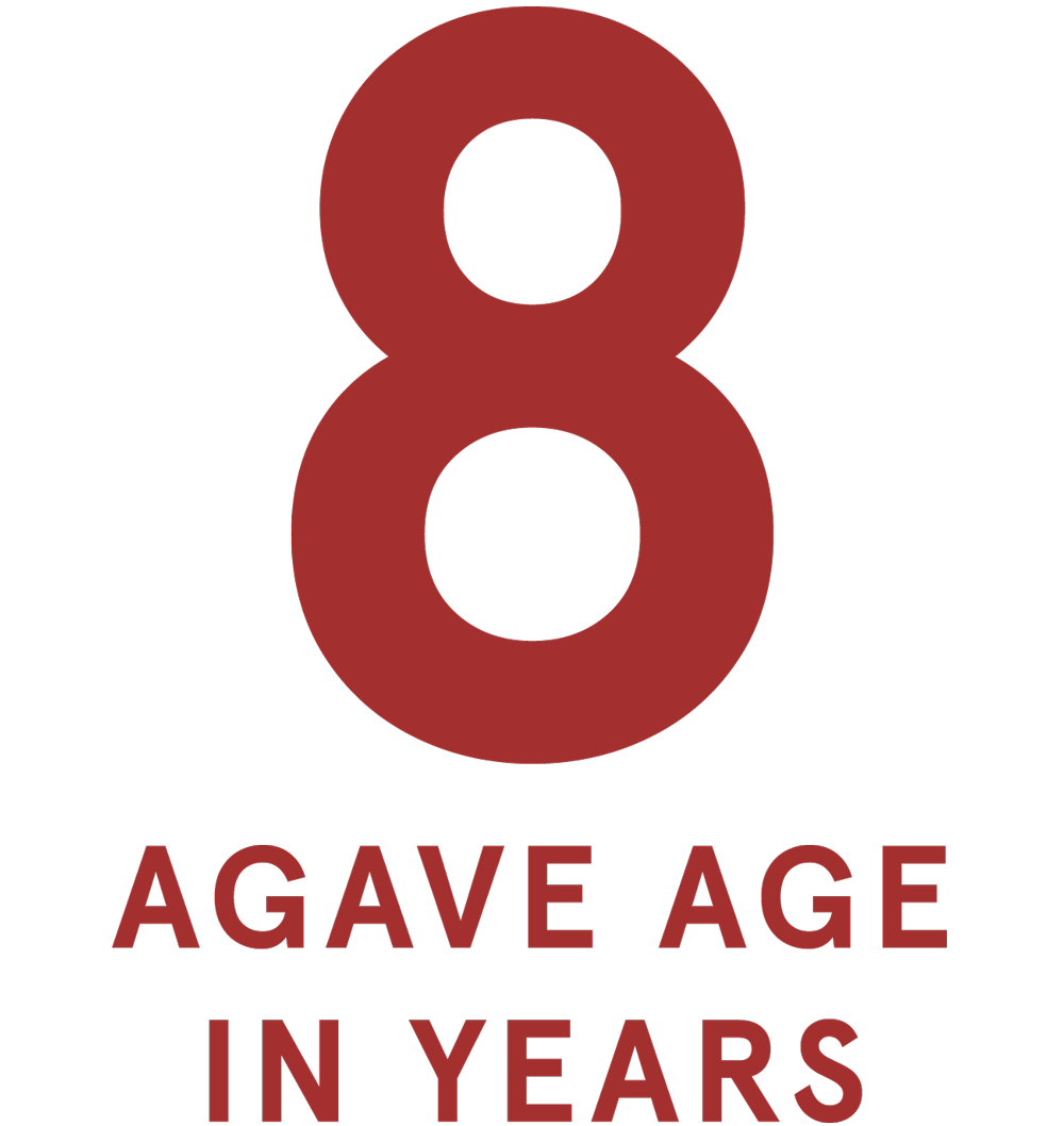 8 Years (Agave Age)